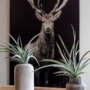 Hélène, un décorateur d'intérieur à Échirolles